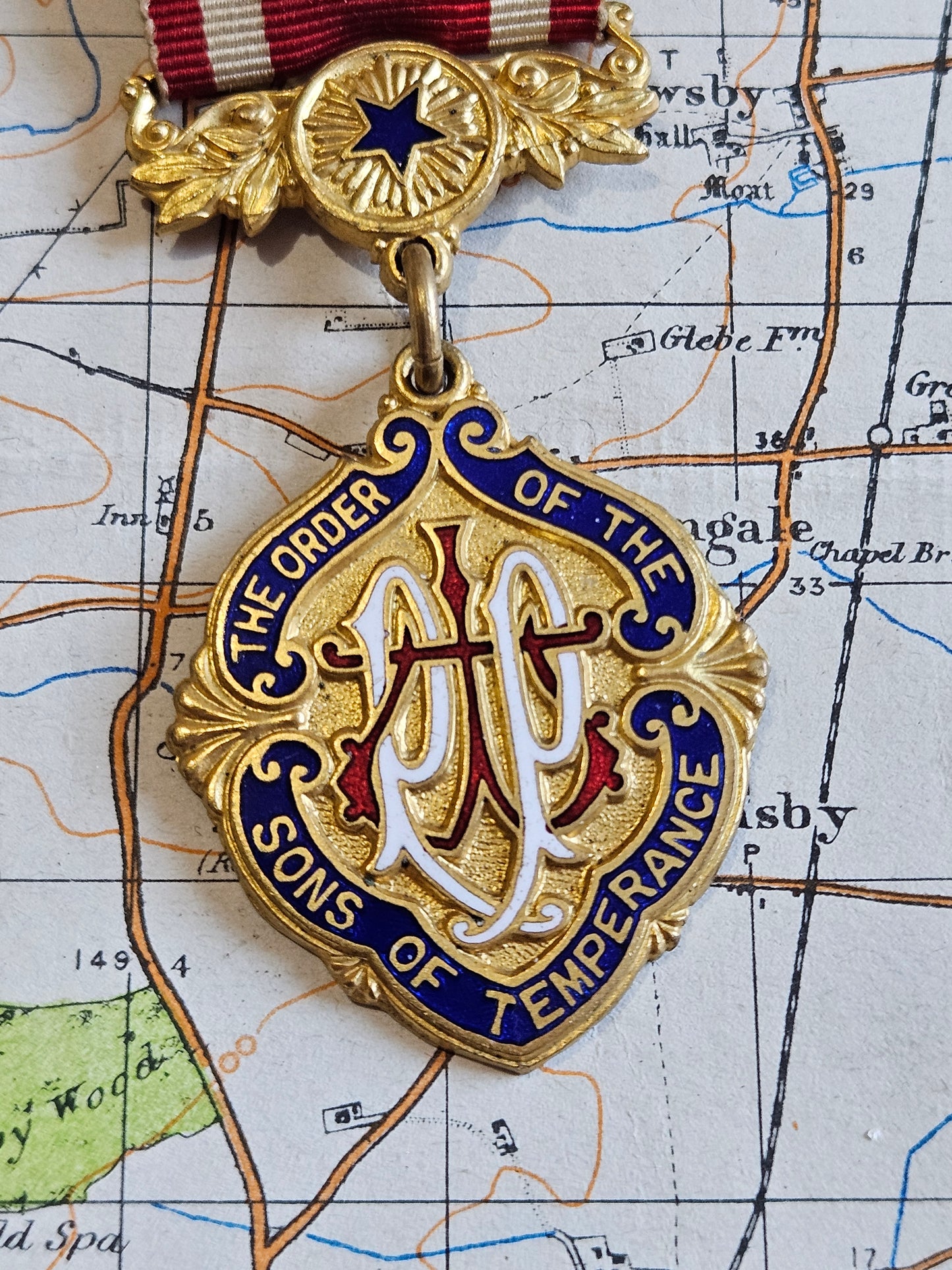 1915 Order of the Sons of Temperance medal
